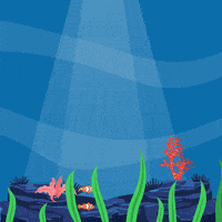 World Oceans Day GIF by Wheelzy