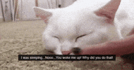 hye GIF