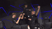 Celebration Win GIF by G2 Esports