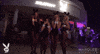 GIF by Playboy