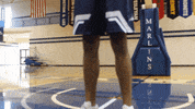 vwu_marlins marlins vwu wethebeach virginiawesleyan GIF