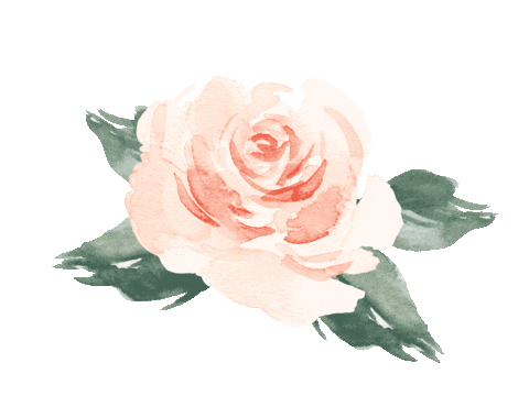 Flower Rose Sticker by kochanow