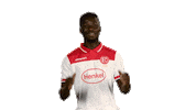 Happy Football Sticker by Bundesliga