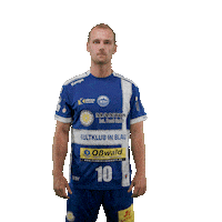 Handball Eisenach Sticker by DAIKIN HBL
