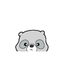 Raccoon Lawyer Sticker