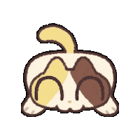 Cat 고양이 Sticker