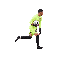 NISASoccer football soccer goalkeeper goalie Sticker