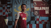 Avfc GIF by Aston Villa FC