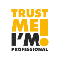 chamaeleongmbh trust professional chamaleon carrepair Sticker