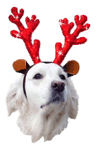 Merry Christmas Sticker by Western University