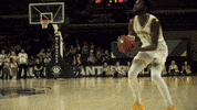 Basketball Wisconsin GIF by Milwaukee Panthers
