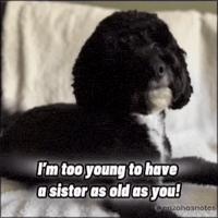 Getting Old Happy Birthday GIF