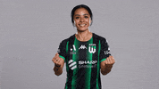 A-League Soccer GIF by Western United Football Club