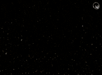 The Language Of The Stars