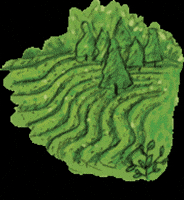 South Korea Travel GIF by vank