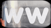 Website 4X4 GIF by VitaNiva