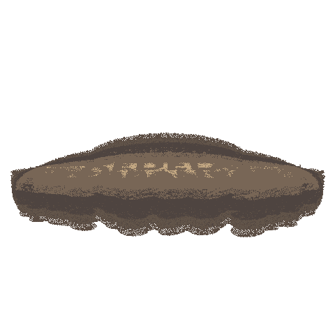 Kecap Manis Sedaap Sticker by Kecap ABC