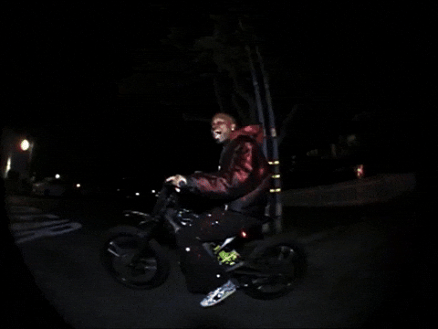 Wolf Bass GIF by IDK