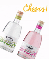 Gin GIF by Charné