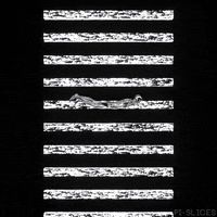 flying black and white GIF by Pi-Slices