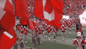 College Football GIF by Ohio State Athletics