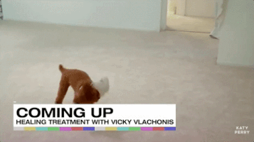 witness world wide #kpwww GIF by Katy Perry