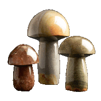 CreelandGow nyc mushroom curiosity mineral Sticker