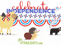 Vitacost 4th of july parade 4th july 4 GIF