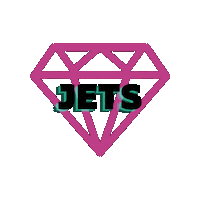 Cheerleading Jets Sticker by CA Flyers