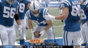Regular Season Football GIF by NFL
