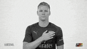 premier league bundesliga GIF by Arsenal