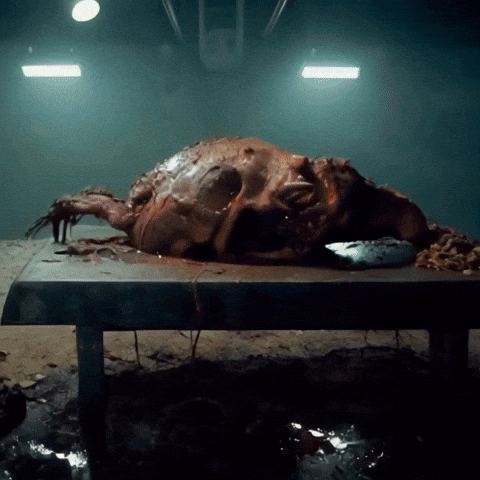 Frog Pepe GIF by Komplex