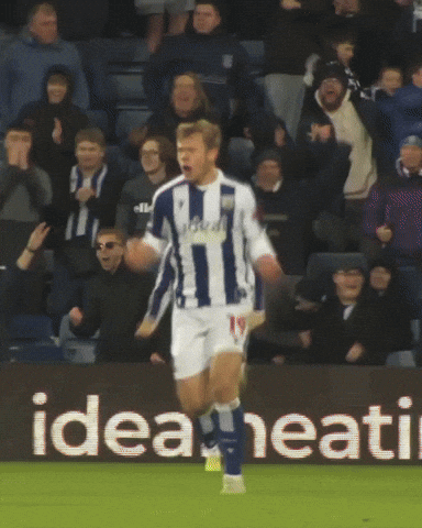 West Brom Wba GIF by West Bromwich Albion