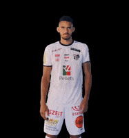 Wac Schmid GIF by Wolfsberger AC