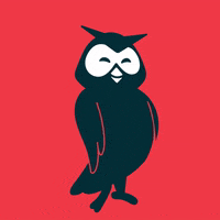 Happy Owl GIF by Hootsuite