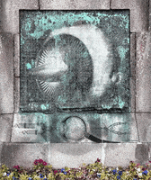 Exo D GIF by Alex Boya