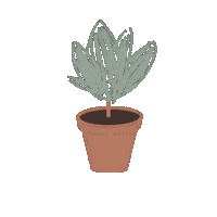 Plant Topfpflanze Sticker by Mamamal3