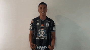 Tejuroqueteamo Elunicoenmicorazon GIF by Club Pachuca Tuzos