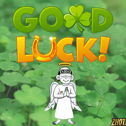 Boa Sorte Good Luck GIF by Zhot