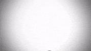 hallo american football GIF by ransport