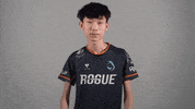 Esports Love GIF by Rogue