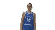 Basketball Hoops Sticker by KK Zadar