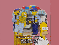 homer simpson car GIF