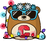 Happy New Year Fun Sticker by Cornell Alumni