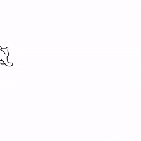 Duracell_duraes cat gato falling fofo GIF