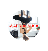 Yogahammock Aerialsusa Sticker by Aerial Supplies USA