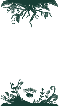 zubrowka vodka wodka zubrowka bison grass Sticker