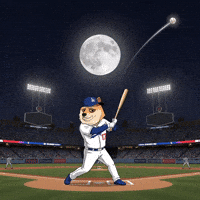 To The Moon Baseball GIF by Doge Pound