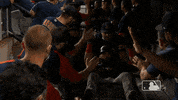 Regular Season Sport GIF by MLB