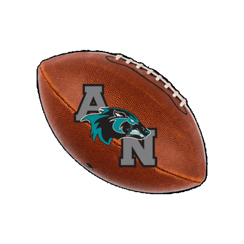AlisoNiguelFootball giphygifmaker fridaynightlights anhs aliso football Sticker